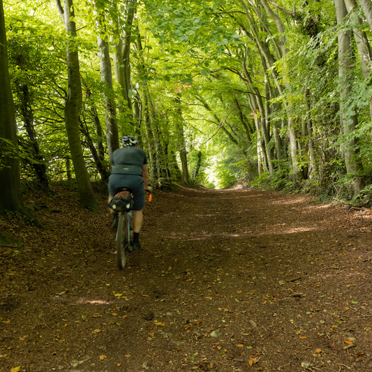 South Downs forest cycle path